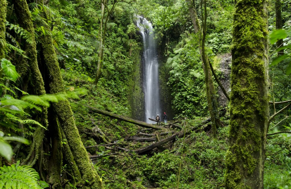 La Amistad International Park, Border with Costa Rica, Panama